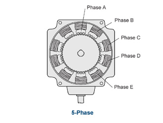 5 Phase Stepper Motor